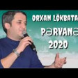 Orxan Lokbatanli - Pervane (2020) YUKLE.mp3