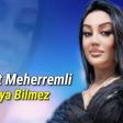 Letafet Meherremli - Yasaya Bilmez Official Audio Music