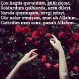 Peyman Memmedoglu - Allahim Masalli Toyu 2016