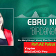 Ebru Nur - Birdenem 2019   Roy.az Pulsuz Mp3 Yukle