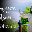 Lale Elizade Sevmeyen olsun 2024 Yukle