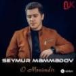 Seymur Memmedov - Gecelerden Qorxuram ROY.AZ