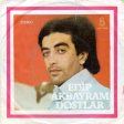 Aldırma Gönül