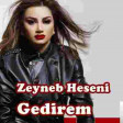 Zeyneb Heseni - Gedirem 2019 Yukle