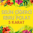 Selin Cigerci feat Ebru Polat- 5 Karat 2018 (YUKLE)