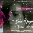 Tural Sedali - Sene Deymez 2019 YUKLE.mp3