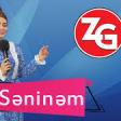 Zahide Gunes Tek Seninem 2019 YUKLE.mp3
