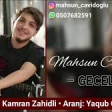 Mahsun Cavidoğlu - Geceler (2019) YUKLE.mp3