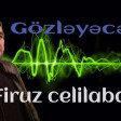 Firuz Celilabadli - Gozleyecem 2016 Excluzive (www.Ritm.az)
