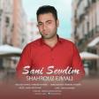 Shahrouz Ejmali - Sani Sevdim