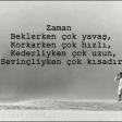 A-iq Zülfiyy- O tayda yarim qalib