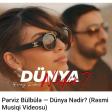 PERVIZ BULBULE - DUNYA NEDIR (2024).mp3