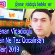 Kenan Vidadioglu - Şair Ne Tez Qocalirsan (Şeir) 2019