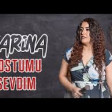 Zarina Buzovnali - Dostumu Sevdim (2020) YUKLE.mp3