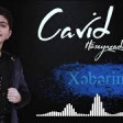 Cavid Huseynzade - Xeberin Varmi 2019 YUKLE.mp3