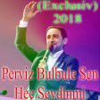 Perviz Bulbule Sen Hec Sevdinmi Exclusiv) 2018.mp3