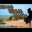 Babek Nur-Tenha Qadin 2020 YUKLE.mp3