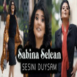 Sabina Selcan - Sesini Duysam 2020