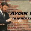 Aydın Sani - Olmadı (2020) YUKLE.mp3