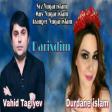Vahid Tagiyev ft Durdane Islam - Darixdim Darixdim 2020