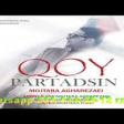 Mojtaba agharezaei qoy partdasin 2019 YUKLE.mp3