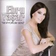 Ebru Yasar - Seviyorum seni ARZU MUSIC