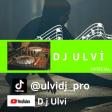 Yulduz Osmanova - Muhabbet VERSION 2  D J  U L V I (R E M I X) 2022