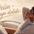 Delin - Dünya Dəlidir (Dilbər Paşazadə) (Official Video)
