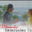 Taleh Memmedov - Uzuldum qusse qemnen mp3 yukle