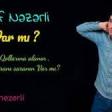Rauf Nezerli - Varmi 2019 YUKLE.mp3