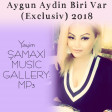 Aygun Aydin Biri Var (Exclusiv) 2018