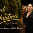 Aysel Cemilli – Gel Unutma 2026 (Official Music Video)