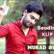 Murad Elizade - Sevdim seni 2019 YUKLE .mp3