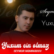 Seymur - memmedov yuxum cin olmaz (YUKLE).mp3