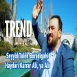 Seyyid Taleh Boradigahi - Haydari Karrar Ali Ya Ali 2020