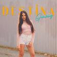 Destina - Gammaz 2020 YUKLE.mp3