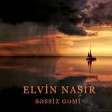 Elvin Nasir - Səssiz Gəmi 2020 YUKLE.mp3