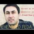 Mehemmed Feda - Bawdan havaliyam 2019 YUKLE.mp3