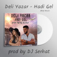 Deli Yazar - Hadi Gel (Prod by. Dj Serhat) 2018 / DMP Music
