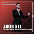 Zaur Eli - Dostum Gunah Ne Sendedir Ne Mende (2020) YUKLE.mp3