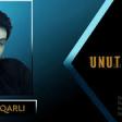 Samir İlqarli - Unut Meni 2019 YUKLE.mp3