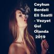Ceyhun Berdeli Eli Saatli - Vezyet Gul Olanda 2019(YUKLE)