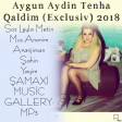 Aygun Aydin Tenha Qaldim (Exclusiv) 2018