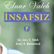 Elnur Valeh - Insafsiz adam 2017 mp3 Yukle