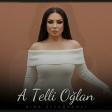 Aida Ziyadxanli - A Telli Oğlan 2026