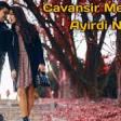 Cavansir Memmedli - Ayirdi Niye Bizi 2019 YUKLE.mp3