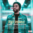 Soheil Mehrzadegan - Dele Divoone 2020 YUKLE.mp3