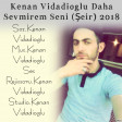 Kenan Vidadioglu Daha Sevmirem Seni (Şeir) 2018