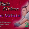 Nadir Kerimov Seven Qelbim 2018