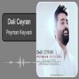 Peyman Keyvani - Deli Ceyran 2020